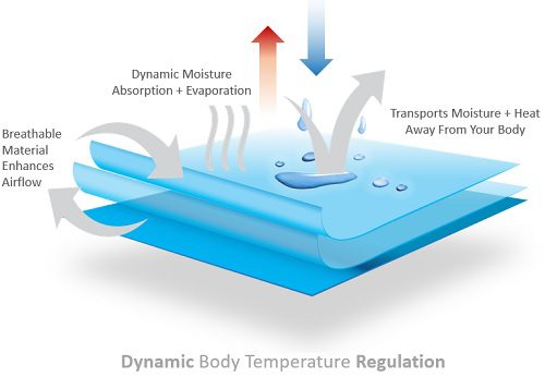 Moisture Transfer