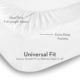 Amore Beds Microfiber Sheets