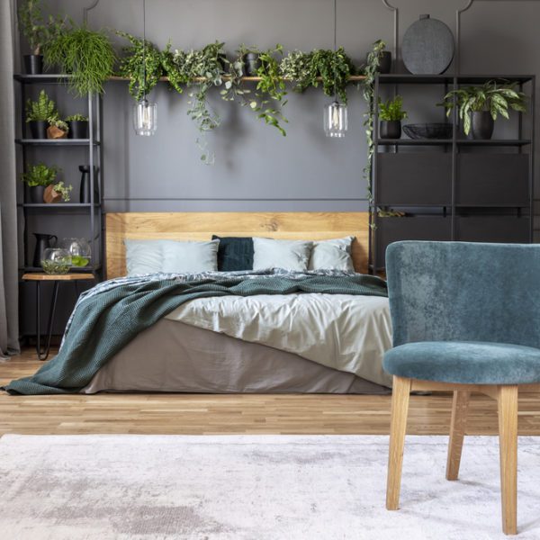 Plants by bed to control room temperature